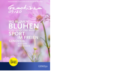 Genotizen Juli 2020 (PDF-Datei, Größe 2.148 KB)