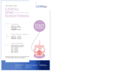 GENO50  Sparkonditionen PDF