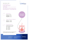 GENO50  Sparkonditionen PDF